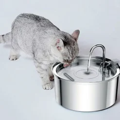 QUÉ PATAS PET SHOP Que Patas Fuente de Agua para Mascotas 2.8 Lts