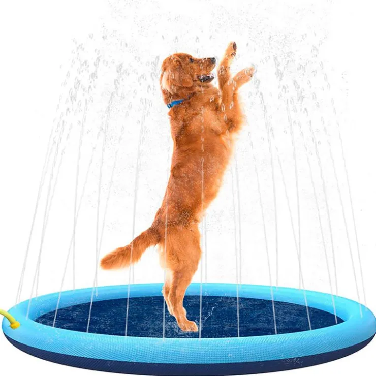 QUÉ PATAS PET SHOP Que Patas Piscina Splash