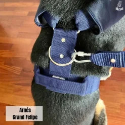 Real Pet Arnés con Correa 1.2 mts Grand Felipe