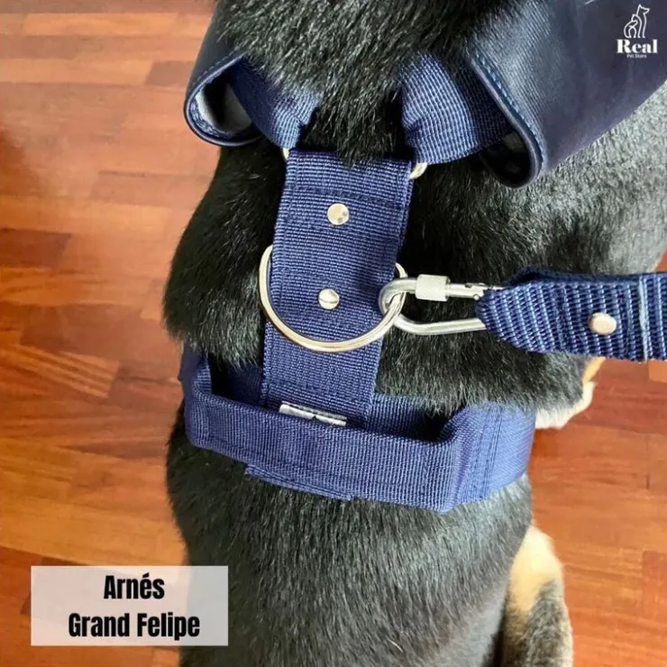Real Pet Arnés con Correa 1.2 mts Grand Felipe