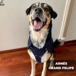 Real Pet Arnés con Correa 1.2 mts Grand Felipe