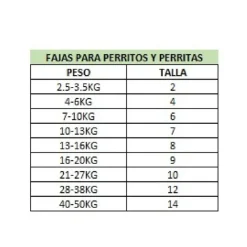 Real Pet Faja Post Operatoria Para Perros Machos