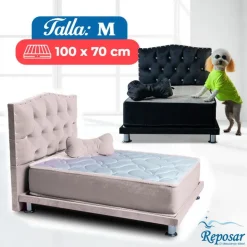Colchones Reposar Reposar Cama Perro Premium Combo Completo Talla M