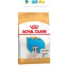 Royal Canin BHN French Bulldog Puppy - Cachorro Bulldog Francés 3 Kg