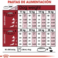 Royal Canin SHN Medium Adult 4 Kg - Adulto Raza Mediana