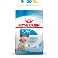 Royal Canin SHN Medium Puppy - Cachorro Raza Mediana 4 Kg