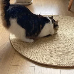 The Cat Design Alfombra Rascadora