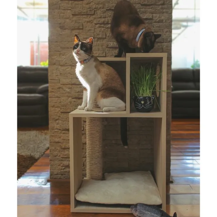 The Cat Design Box #2 Rascador de Madera Premium Gatos Beige