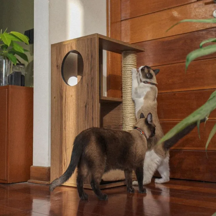 The Cat Design Box #2 Rascador de Madera Premium Gatos Marron
