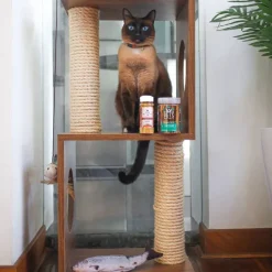 The Cat Design Box #1 Rascador de Madera Premium Gatos Marron