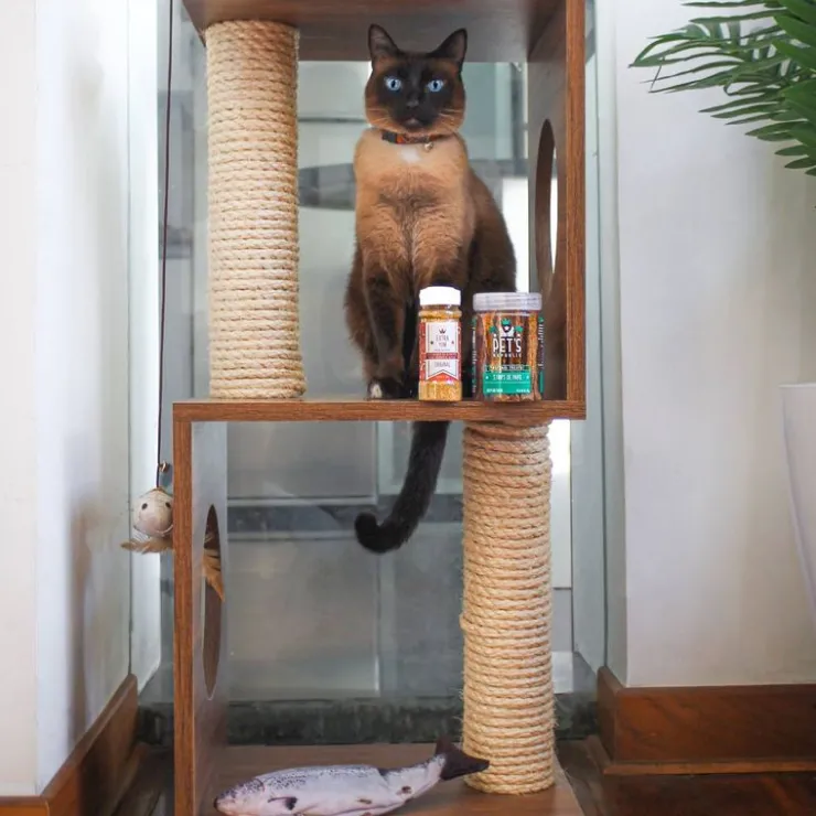 The Cat Design Box #1 Rascador de Madera Premium Gatos Marron