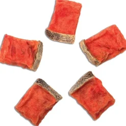 WANPY Salmon & Fish Skin Bites 100 Gr - Cubos de Salmón